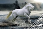 Bob Langrish: Horse Snow (Poster Maxi 61x91,5 Cm) gioco