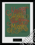 Fantastic Beasts 2: No-Maj (Stampa In Cornice 30x40cm) giochi