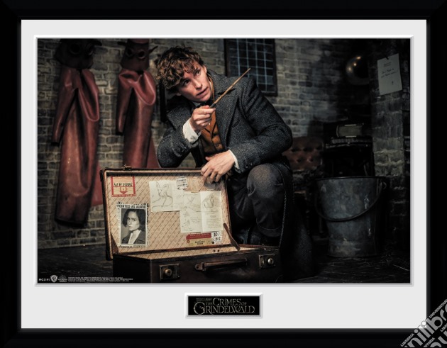 Fantastic Beasts 2: Newt Suitcase (Stampa In Cornice 30x40cm) gioco
