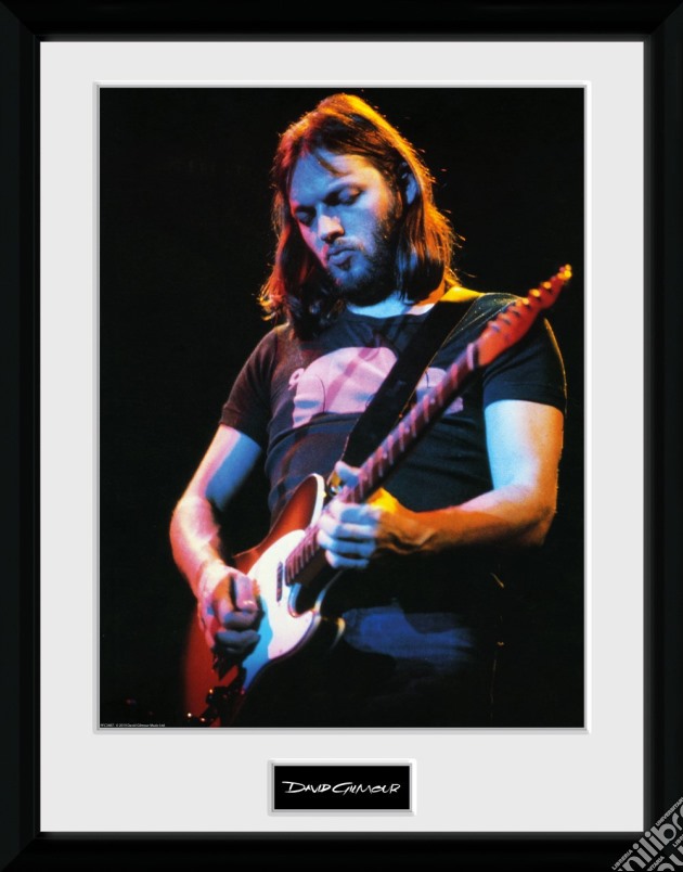 David Gilmour: Live Photo (Stampa In Cornice 30x40cm) gioco di GB Eye