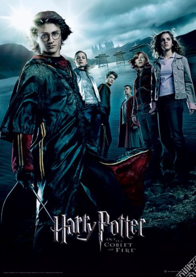 Harry Potter (Goblet Of Fire) gioco