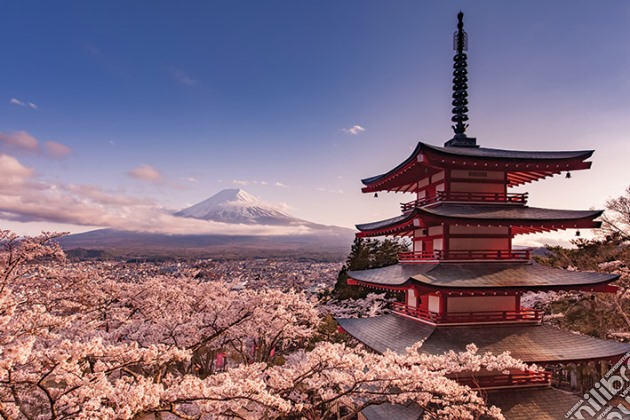 Mount Fuji Blossom (Poster Maxi 61x91,5 Cm) gioco di Pyramid