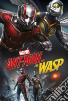 Ant-Man And The Wasp (Dynamic) Maxi Poster (Poster) giochi