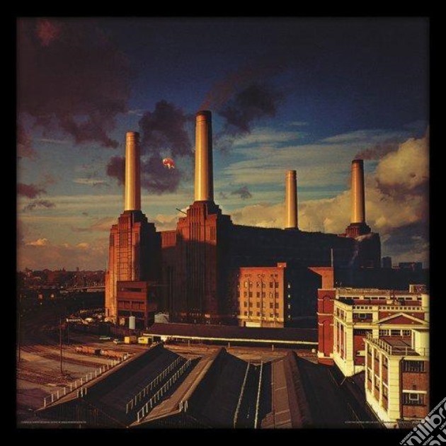 Pink Floyd: Animals -12