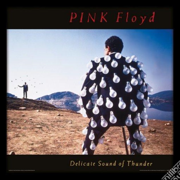Pink Floyd: Delicate Sound Of Thunder -12