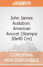 John James Audubon: American Avocet (Stampa 30x40 Cm) gioco
