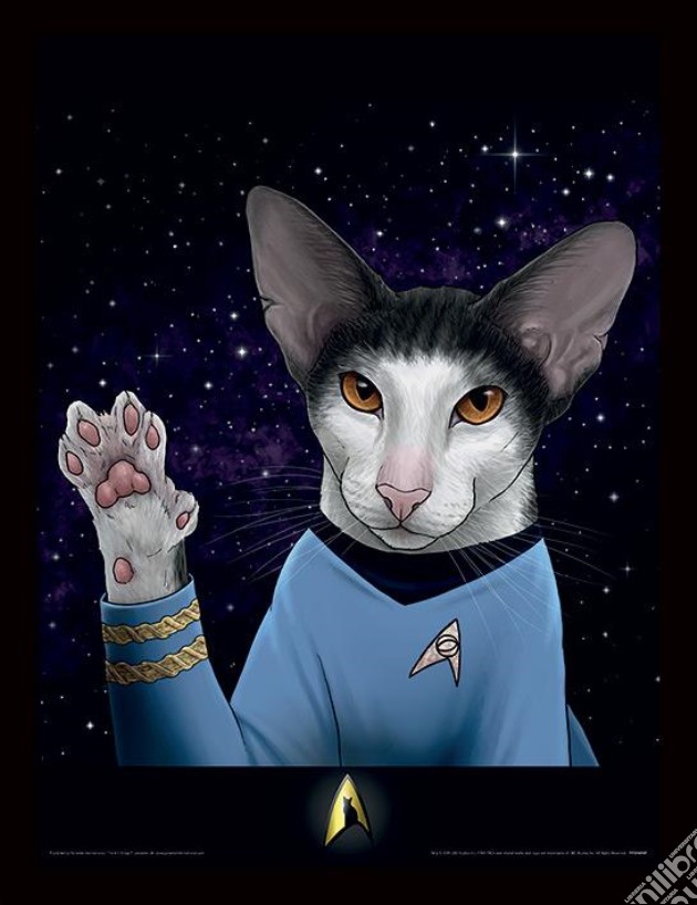 Star Trek: Pyramid - Cats (Spock Paw) Memorabillia Range (Poster In Cornice 30x40) gioco di Pyramid