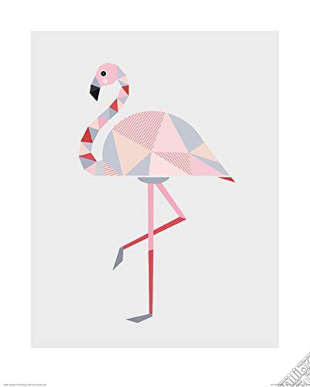Pyramid: Anne-Marie Butlin- Flamingo -Canvas Print 60X60cm- (Stampa Su Tela) gioco di Pyramid