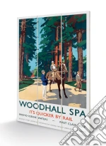 Pyramid: Woodhall Spa (Horse By Frank Newbould) Micro Wood (Stampa Su Legno) giochi