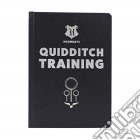 Harry Potter - Quidditch A5 Notebook giochi