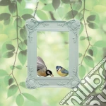 Paladone: Frame Bird Feeder (Alimentatore Cibo Per Uccelli) giochi
