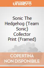 Sonic The Hedgehog (Team Sonic) Collector Print (Framed) gioco