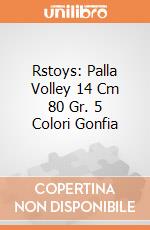 Rstoys: Palla Volley 14 Cm 80 Gr. 5 Colori Gonfia giochi
