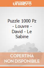 Puzzle 1000 Pz - Louvre - David - Le Sabine puzzle