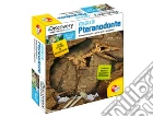 Discovery superkit fossili kit pteranodon giochi