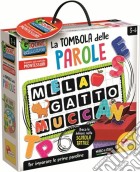 Lisciani: Montessori - Laboratorio Dell'Alfabeto E Prima Scrittura gioco