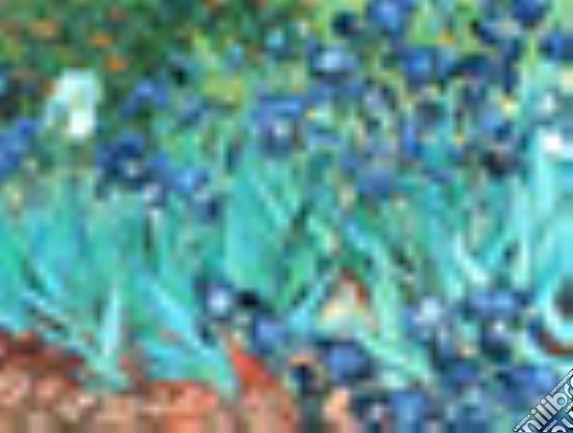 Van Gogh, Iris puzzle di VAN GOGH, IRIS