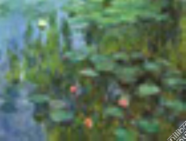 Monet, Nympheas puzzle di MONET, NYMPHEAS 