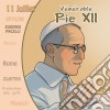 (Audiolibro) VÃ©nÃ©rable Pie Xii - Collection Un Prenom Un Saint libro