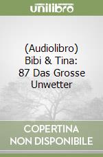 (Audiolibro) Bibi & Tina: 87 Das Grosse Unwetter libro