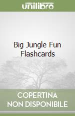 Big Jungle Fun Flashcards libro