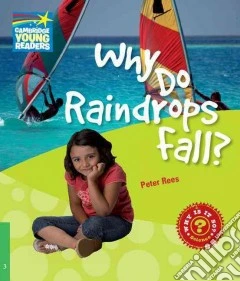 Rees Factbook 3 Why Do Raindrops Fall?