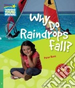 Rees Factbook 3 Why Do Raindrops Fall?
