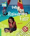 Rees Factbook 3 Why Do Raindrops Fall? libro di Peter Rees