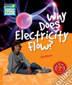 Moore Factbook 6 Why Does Electricity Flow?