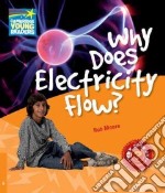 Moore Factbook 6 Why Does Electricity Flow? libro