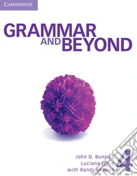 Grammar and Beyond