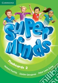 Puchta Super Minds 2 Flashcards