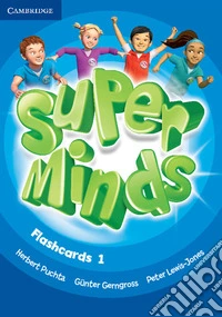 Puchta Super Minds 1 Flashcards