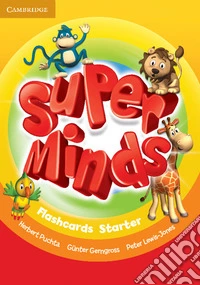 Puchta Super Minds Starter Flashcards
