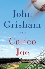 Calico Joe libro