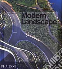 Modern Landscape. Ediz. inglese libro