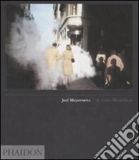 Joel Meyerowitz. Ediz. inglese