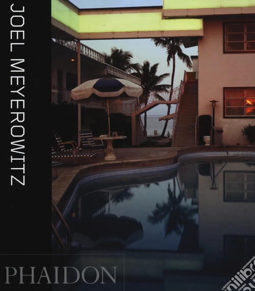 Joel Meyerowitz. Ediz. inglese