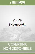 Cos'è l'elettricità? libro
