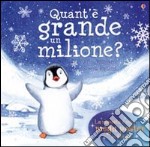 Quant'è grande un milione? libro