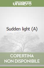 Sudden light (A) libro