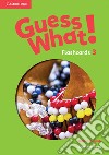 Guess what! Guess What! Level 3 Flashcards (75) libro