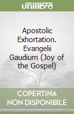 Apostolic Exhortation. Evangelii Gaudium (Joy of the Gospel)