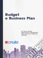 Budget e business plan libro