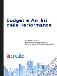 Budget e analisi delle performance