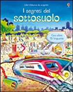 I Segreti del sottosuolo libro