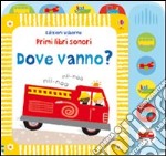 Dove vanno? Ediz. illustrata libro