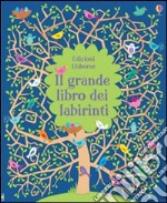 Il grande libro dei. Giochi e passatempi. Ediz. illustrata