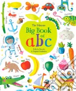 Big book of ABC. Ediz. a colori libro