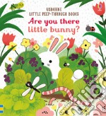 Are you there little bunny? Ediz. a colori libro